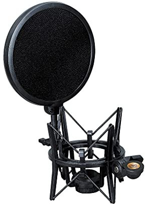 Microphone Shock Mount with Pop Filter Shield Double Mesh Layer Windscreen Wind Screen with 3/8 to 5/8 Threaded for Microphone (Model : SH-100) ()