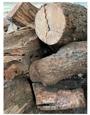 Mugar -Leña para Chimenea, Estufa o Barbacoa. Leña de Encina y Olivo- Troncos de leña Mediano 30-40cm - Distintas Cantidades (Encina, 40 kg)
