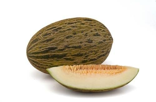 Semillas Piel de Sapo para Producir Melones en Casa, Terraza y Jardín