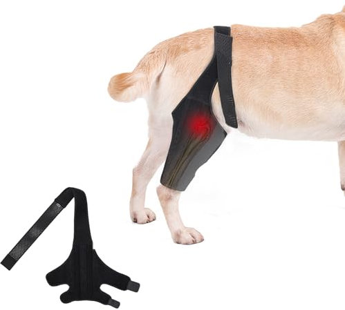 PJDDP Adjustable Leg Brace Für Hund, Hund Hinteren Beinschienen Für Die Unterstützung Kreuzband, Hund Beinschienen Für Hip Dysplasie Unterstützung Für Kniescheibe Dislokation Arthritis,L