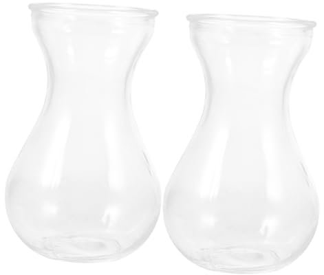 Alipis 2piezas Jarrón De Transparente Artesanal De Adorno Simple para Arreglos De Vidrio Jarrón Decorativo para Plantas De Jade Riego De Plantas