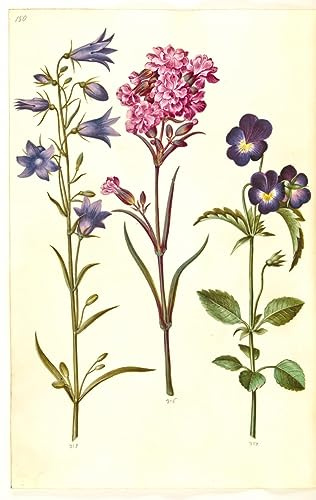 POSTERIIk Famous Animal Posters Vintage Picture Campanula Rotundifolia by Hans Simon Holtzbecker Modern Wall Decor for Home Decor 60x90cm