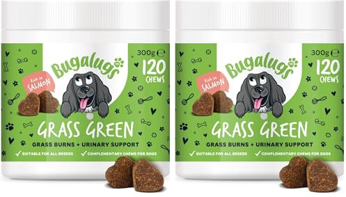 Bugalugs Grass Green Dog Supplement Chews helps support Dog Urine Neutraliser for Grass Burn with Cranberry that helps Urinary & Gut Health, Rich in Salmon, 120 Chews (Pack of 2)