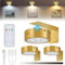 Luci Per Quadri Senza Fili Ricaricabile, 3 Pezzi LED Da Parete Con Telecomando, 3 Temperatura Colore Con Dimmerabile E Timer Magnetic Painting Light Per Esposizione Pittura(Oro)