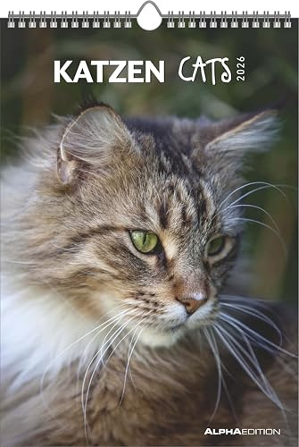 Alpha Edition - Katzen Kalender 2026 – Wandkalender 23,7×34 cm mit Katzenmotiven & Platz für Notizen, 4-sprachiges Kalendarium, dekorativer Bildkalender mit Zusatzinfos für Katzenliebhaber: Cats