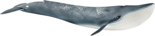 SCHLEICH 14806 Balena blu, da 3 anni, WILD LIFE - Figura, 11 x 27 x 6 cm