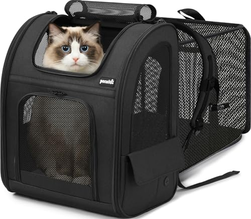 pecute hund ryggsäck expanderbar, katt bärare ryggsäck andas, stor