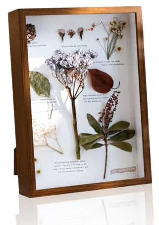 QYRDBGY 3D Bilderrahmen zum Befüllen, 20x25cm Objektrahmen Bilderrahmen Tief mit Transparente Glas Tiefer Rahmen Hölzern für DIY Kunstwerke Foto Trockenblumen