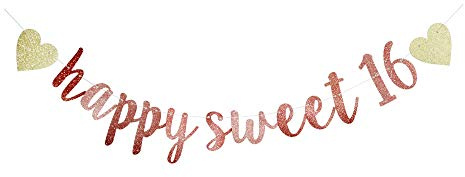 Happy Sweet 16 Banner, 16th Birthday Party Sign, Sweet Sixteen Party Supplies (Pink)