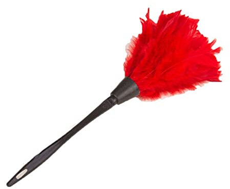Plumeau Plumeau Plumeau Anti-Statique Poussière De Voiture Tableau De Bord Nettoyant Outils Portable Poignée Plume Nettoyant Outils Poignée Dusters