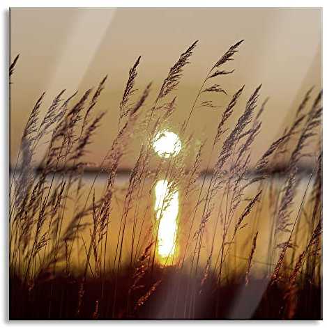 Pixxprint Glasbild, Wandbild auf Echtglas, Gräser bei Sonnenuntergang, 40x40 cm, inkl. Aufhängung und Abstandshalter