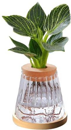 Innjoii Planting Glass Vase with Lid and Wooden Stand Bud Flower Vases Propagation Hydroponic Jars Telight Hurricane Floating Candle Holder for Centerpieces Wedding Plants Office Home Garden, 2#