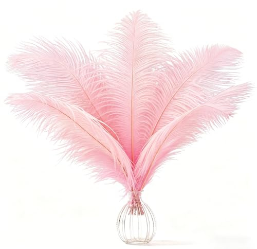 AOOTE Straußenfedern,12 Stück Natürliche Straußenfedern Handwerk, 25-30 cm Strauß-Federn für Hochzeitsdekoration, Weihnachtsdeko, Tischdeko, Galaevents und Party(Rosa)