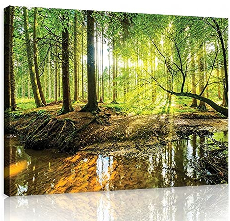 WallArena Leinwand Bilder 100x75 cm | Wald Natur Landschaft Sonne, Leinwandbilder, Bild auf leinwand, Format: 100x75 cm (BxH) - einteilig auf Canvas