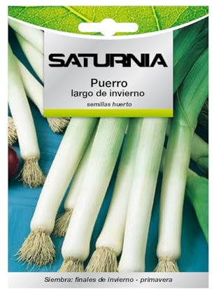 Semillas Puerro Largo De Invierno (3 gramos) Semillas Verduras, Horticultura, Horticola, Semillas Huerto.