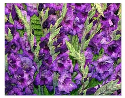 CafePress Purple Mauve Gladiolus Flowers Small Puzzle, 252 pcs.