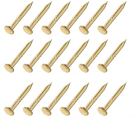 METALLIXITY Piccoli Chiodi (1x10mm) 200pz, Carbonio Acciaio Piccoli Materiale Chiodi - per Famiglia Lavorazione Legno, Dorato