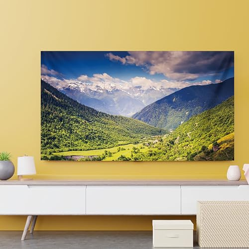 EHYXTEGX Displayabdeckung für den Innenbereich, TV-Staubschutz, 32-80 Zoll TV-Abdeckung für LCD-/LED-Schutzhülle, einfacher moderner Stil, TV-Abdeckung, weicher Stoff, TV-Abdeckungen (Farbe1, 139,7 cm