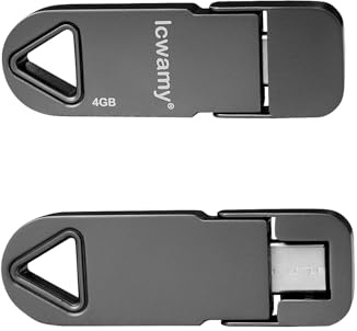 lcwamy Memoria USB tipo C de 4 GB, 2 unidades de memoria USB tipo C (2 unidades)