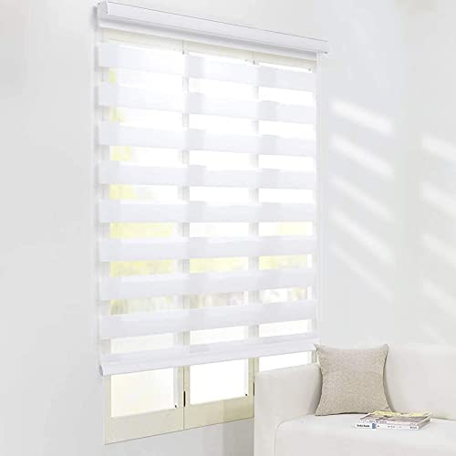 Doppia persiana avvolgibile personalizzata, per giorno e notte, per la privacy, oscuranti, per finestre e porte, trasparente e opaca, facile da installare (larghezza x altezza: 100 x 230 cm)