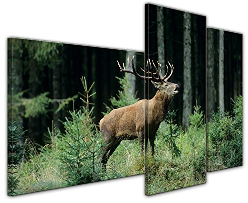 Bilderdepot24 Wandbild Hirsch - 130x80 cm quer mehrteilig Bilder als Leinwanddruck Fotoleinwand Tierbild Waldtier - Rotwild - röhrender Hirsch im Wald