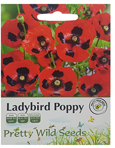 Ladybird Poppy Seeds Pictorial Packet Hardy Annual Lady Bird Poppies
