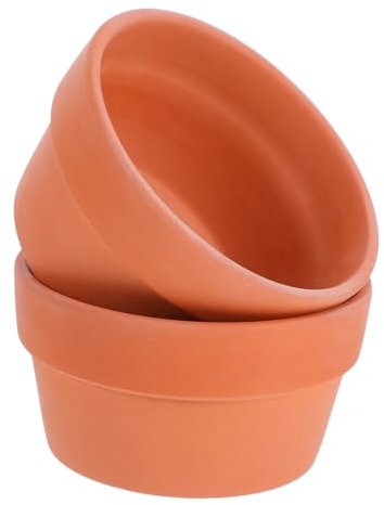 Toddmomy 10pièces Pots Terre Cuite avec Trou De Drainage pour Plantes De Pots Décoratifs pour Intérieur Et Jardin