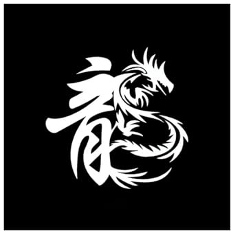 HaiRxr Chinesischer Drache Autoaufkleber Collage von Tieren und Wörtern Autoaufkleber Coole dekorative Aufkleber (Farbe: Weiß, Größe: 20 cm)