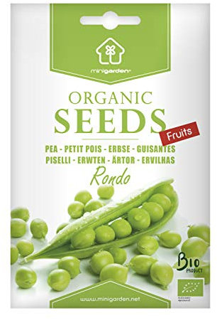 Erbse Rondo, zertifizierte biologische Samen von Minigarden, enthält zwischen 60 und 120 Samen