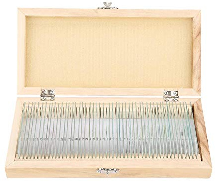 Jectse 50-teiliges Mikroskop-Objektträger-Set, Biologie-Glas-Objektträger, Laborproben mit Holzkiste