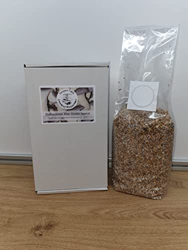 Blue Oyster Mushroom Spawn/Seed, Foragers Table 1kg Heat Sealed Bag (Pleurotus ostreatus)