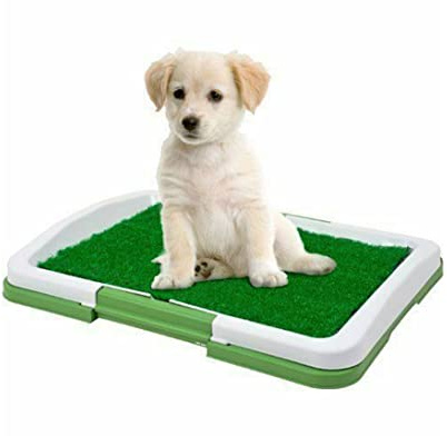 LETTIERA WC PER CANI E GATTI CUCCIOLI CON ERBA SINTETICA ASSORBIMENTO A TRE STRATI, LETTIERA TOILETTE LAVABILE 47 X 34 X 6 CM - DISCORAMA®