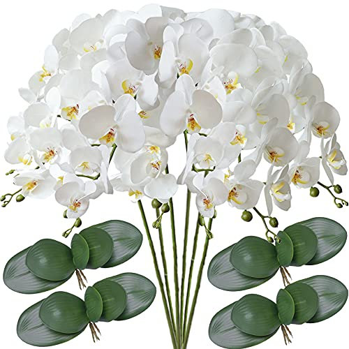 FagusHome 6 Stück Künstliche Phalaenopsis Blumen 80cm Weiß mit 4 Bündeln Künstliche Orchidee Blätter für Wohnkultur (6 Stück)