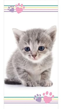 APTEX Asciugamano da bagno con gatto, 70 x 140 cm, multicolore