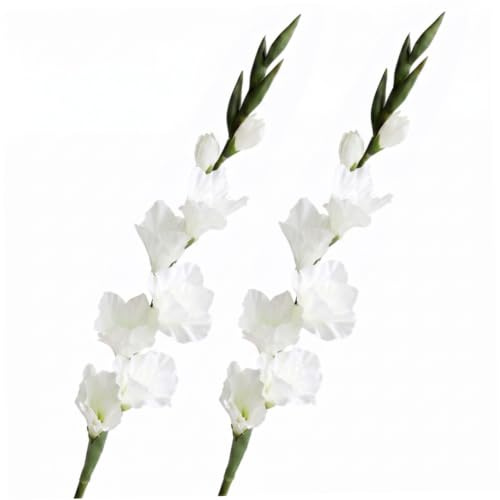 Hilai 2PCS White Gladiolus Artificial Flowers with Stems, 33 Inch Faux Flowers Indoor for Wedding Home Party Floral Arrangement Centerpiece Table Decor