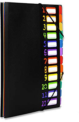 VIQWYIC Dokumentenmappe A4 mit 12 Fächern – Wasserdichter PP-Kunststoff-Ordner mit Gummizug & farbigen Etiketten – Tragbar Organizer für Schule/Büro (Schwarz)