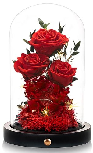 DENIMOMO Mothers Day Roses Gifts for Mom,Forever Red Preserved Rose in Glass Dome,Mothers Day Real Flowers Roses Gifts for Wife Women Mom Grandma/Red