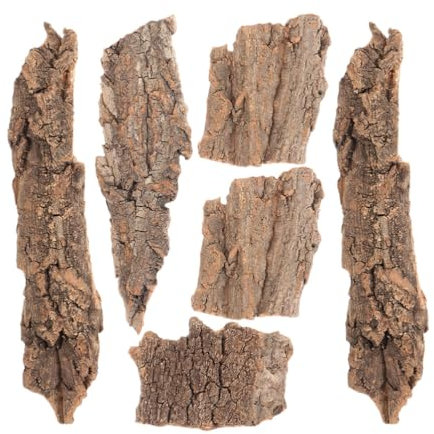 HANABASS 6stücke Terrarium Baumrinde Dekoration Für Reptilien Teiliges Naturgetreue Korkhintergründe Für Eidechsen Frösche Und Aquarien Ca Schafft Lebendige Lebensräume