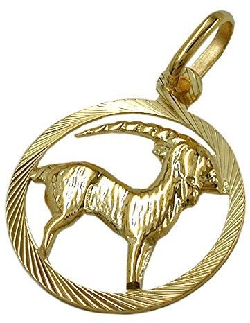 Anhänger Kettenanhänger Sternzeichen Steinbock aus 375 Gold Gelbgold Unisex