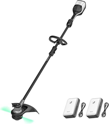 Litheli 35cm Akku Rasentrimmer 2x20V mit Fadenspule, Bürstenlosem Motor, 2x10000mAh Mobilen Batterien, Schneller Fadenwechsel, Geeignet für Rasenschneiden, Rasenpflege und Hof, Rasentrimmer