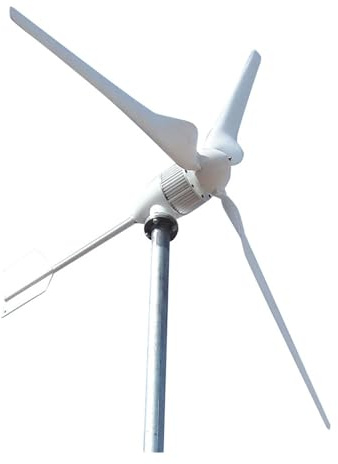 QZCX Aerogenerador Eolico, Turbina eólica de 24V, 48V, 1KW, 1000W, nerador de energía eólica, Molino de Viento AC/DC(24V)