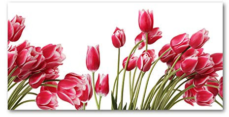 Tulup Picture Wall Art 100x50cm Image Acryl Decorative Wall Picture Plastic/Acrylic Glass for Kitchen & Living Room - Red tulips
