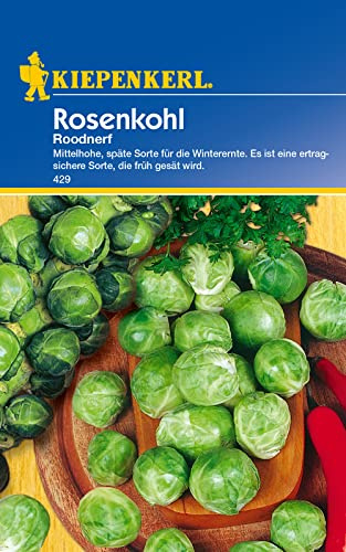 Kiepenkerl 0429 Rosenkohl Roodnerf spät, Portionssaatgut, Inhalt reicht für ca.: 100 Pflanzen, eine ertragsichere Sorte die früh gesät wird
