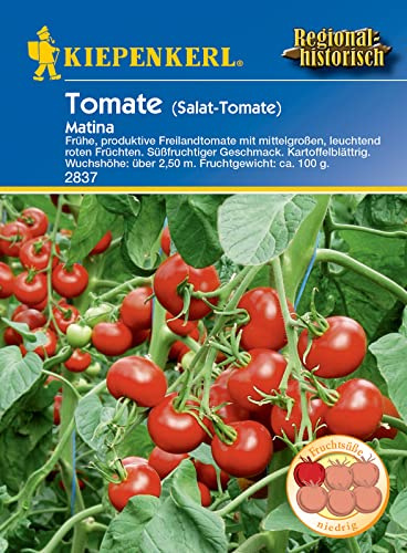 Kiepenkerl 2837 Salat-Tomate Matina, früheste Freilandtomate mit kartoffelblättrigem Laub, robust gegen die meisten Tomatenkrankheiten
