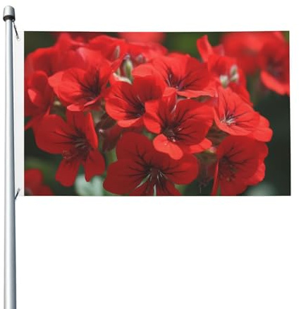 Flagge, 90 x 152 cm, Dekoration, Outdoor-Flagge, rote Geranien, Flagge, 200D, schwere Willkommensflaggen, Polyester-Banner, große Flaggen für Innen- und Außendekoration
