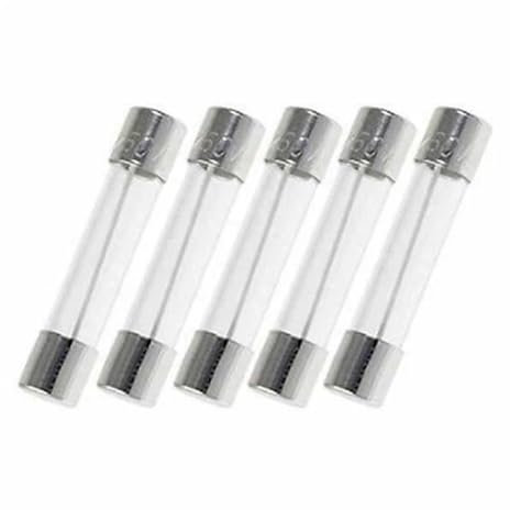 PEGGMZYX AGC 5A 250V Glassicherung, 6x30mm (1/4 x 1-1/4-
