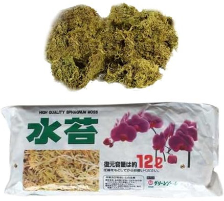 Natural Sphagnum Dry Moss Humectante Turba Seca Musgo Sustrato Cultivo Sin Suelo para Orquídea Phalaenopsis Musgo Sphagnum 12L