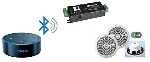 Amplificador 2 x 15W estéreo Bluetooth y Kit de Altavoces de Techo para Amazon Alexa Echo Dot