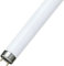 DSTOCK60 - Néon T8 18w - Blanc chaud 830-3000 k - Culot G13