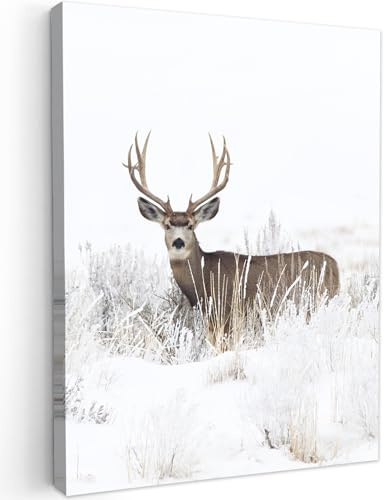 MuchoWow© Leinwand Deko Schlafzimmer Aesthetic Leinwandbilder Wohnzimmer | 30x40 cm - Gemälde Foto Geschenk Living Room Decoration Hirsch Bild - Rotwild - Reh - Winter - Schnee - Tiere - Weiß